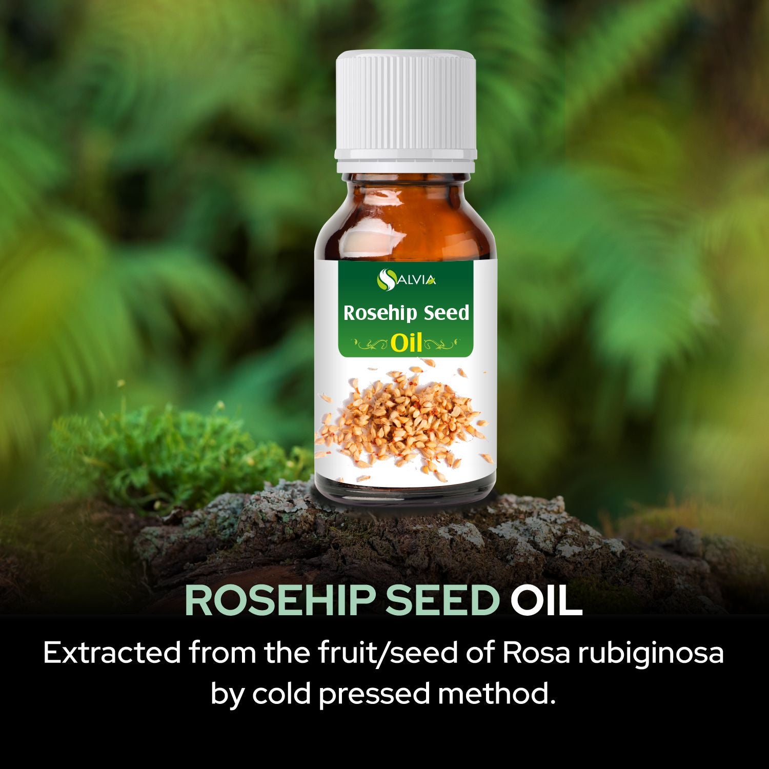 Salvia Natural Essential Oils,Dandruff,Greasy Oil,Anti Fungal,Anti-fungal Oil,Oil for Greasy Hair Rosehip Seed Oil Salvia Natural Essential Oils,Dandruff,Greasy Oil,Anti Fungal,Anti-fungal Oil,Oil for Greasy Hair Rosehip Seed Oil